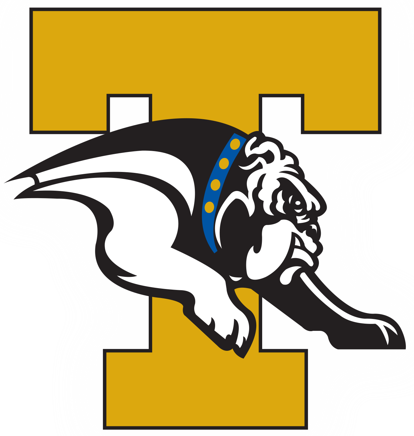 ths logo